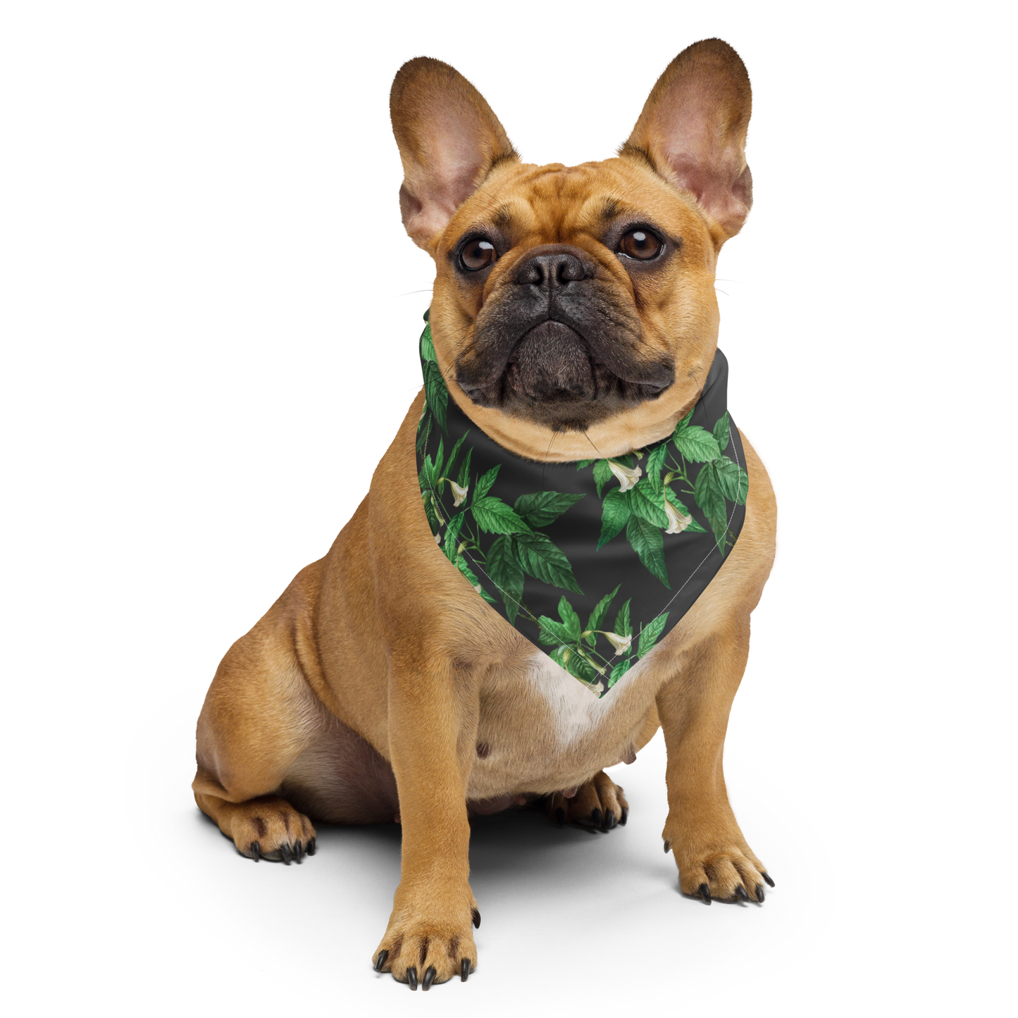 Green Bandana