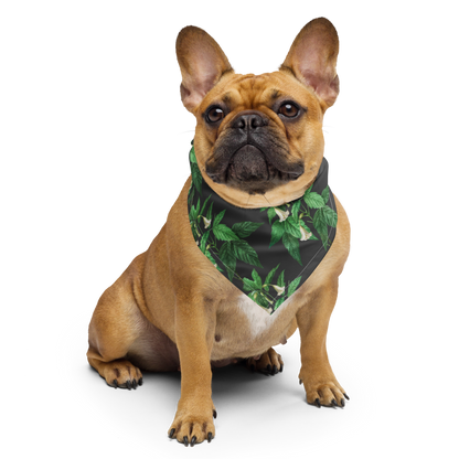 Green Bandana